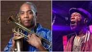 Femi Kuti barred me from entering new Afrika Shrine over my refusal to work with him: Fela's ex-manager
