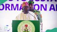 Tinubu unveils presidential economic council, full list, details emerge