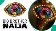 Who are they? BBNaija season 11 teaser gives fans first glimpse of mystery housemates ahead of premiere