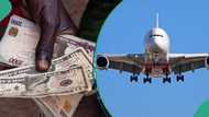 Concerns for naira as airline offers tickets in dollars to Nigerians, expert gives explanation