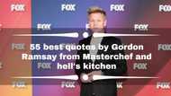 55 best quotes by Gordon Ramsay from Masterchef and hell's kitchen