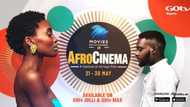 AfroCinema Pop-Up Channel: Celebrating Africa’s Exploits, Cultural Diversity through Film