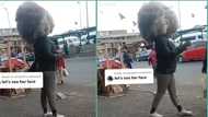 "This country don tire me": Nigerian lady storms main road with crazy afro hairstyle, video trends