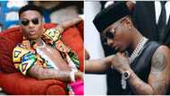 Youngest to get Grammy nomination, first to enter Guinness book, 5 other Wizkid's records on int'l scene