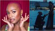 I introduced you guys, better find me my own: DJ Cuppy hints as Mr Eazi proposes to Temi Otedola in cute video