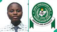 2026 UTME top scorer of Akwa Ibom school celebrated as 27 students score over 300, results trend