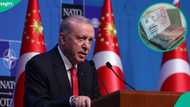 Visa-free entry: Turkey lists 21 countries whose citizens can enter with national ID only