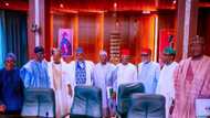 After Buhari's stance on picking successor, APC governors speak on who to nominate