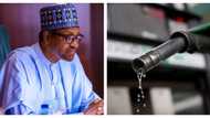BREAKING: Bad news for Nigerians as FG reportedly makes U-turn, increases price of petrol