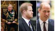 Ten rules and laws the royal family is not obliged to obey