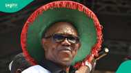 Ex-Super Eagles star stirs reactions with message to Peter Obi on his birthday