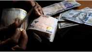 Naira depreciates at the parallel market, exchanges for N712 per dollar