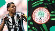 NFF in talks with Premier League star William Osula over potential Super Eagles switch