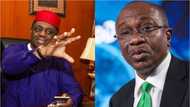 Femi-Fani Kayode calls Emefiele terrible names, reveals how the world will remember him