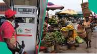 Crude Oil at $100: Experts warn Nigerians to prepare for higher petrol, transport, food prices