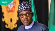 Ex-President Buhari's govt defended against corruption allegations