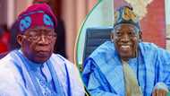 “Should sacrifice himself”: APC chief reacts as presidency allegedly declares Ganduje’s seat vacant