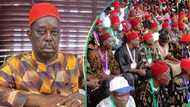 Ohanaeze shares actual reason Igbo youths hardly enroll into Nigerian Army