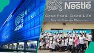 Step-by-step guide to apply for Nestlé paid internship 2026: eligibility, benefits