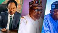 "Sun rasa muryarsu karkashin Buhari": Shehu Sani ya magantu yayin da sarakunan Arewa ke sukar Tinubu