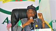 Lai Mohammed blows hot, says like Twitter, all social media platforms operating in Nigeria must be regulated