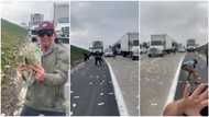 Bullion van scatters dollars on the road in US, people abandon their cars to pick money, video goes viral
