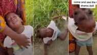 “Tonto Dikeh Dey Learn Work”: Little Girl Cries, Rolls on the Floor After She Was Promised Sweet in Video