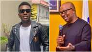 2023 elections: Frank Edwards shares funny video of what youths might do to Peter Obi if he steps down