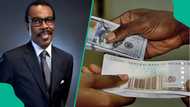 Bismarck Rewane speaks on naira after CBN’s 23% interest rate cut, reveals what to expect