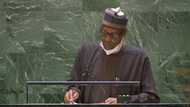 Full text of President Buhari’s speech at UN General Assembly in US