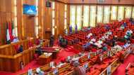 Insecurity: Senate warns of looming war in Nigeria