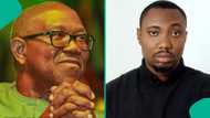 Director of Obidient movement mobilisation resigns, gives reason and mentions Peter Obi