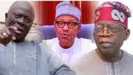 2023: Ƙungiyar kare hakkin musulmi ta caccaki Afenifere kan goyon bayan Tinubu