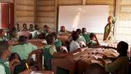 Restructuring Nigeria’s overbloated academic curricular by Moshood Olajide (opinion)