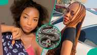 Three Nigerians who have survived snakebites share how they were saved without anti-venom