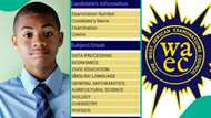 WAEC 2024: Nigerian boy clears his result with 4 A1s, 2 Bs, gets distinction in Marketing, Government