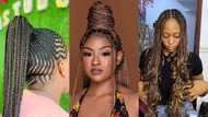 70+ cool braided hairstyles for black women to try in 2024