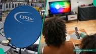 DStv announces free premium channels for all subscribers from today