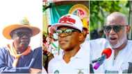 LIVE UPDATES: Vote counting begins in Ondo governorship election
