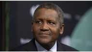 Dangote set to receive over N200 billion as dividend from his cement company