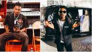 He think say na Agege: Hilarious reactions as singer Mayorkun scolds his pet dog for eating expensive gadget