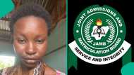 JAMB 2026: Candidate discovers costly mistake on exam slip after reprinting, photo trends