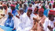 'NNPP open to alliance with APC', Kwankwaso's disciple speaks, organises special prayer for Tinubu