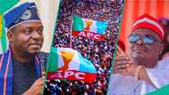 2027 election: Kwankwaso reportedly begins talks with APC chairman amid defection plot