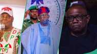 Is Tinubu behind opposition coalition setbacks? Presidency responds