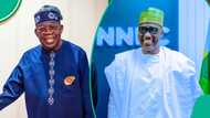 NNPCL reacts as Kperogi accuses Tinubu of appointing Yoruba people to top positions in oil company