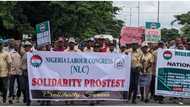 Breaking: Senate takes action after NLC protesters pull down National Assembly gate