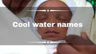 150+ cool water names for boys and girls to make your child unique