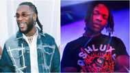 Final year Uniport student gives thanks to Naira Marley and Burna Boy in project dedication