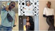 "When I dey drop music dem no get Instagram": Speed Darlington clamps down on Tiwa Savage, Tems and Teni